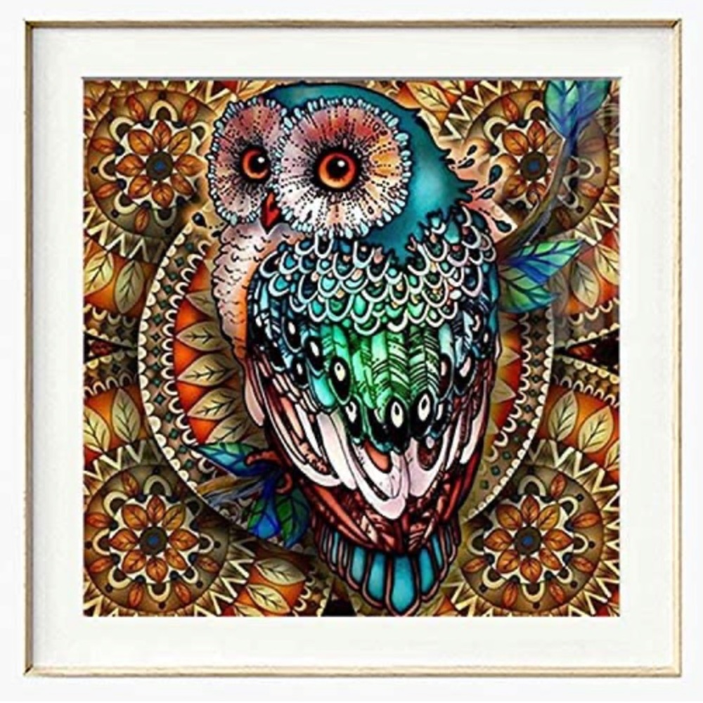 Owl Diamond Painting Kit